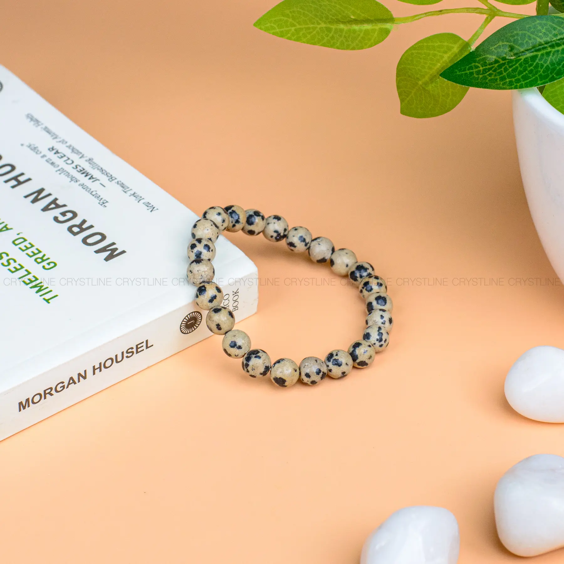 Dalmatian Jasper Bracelet
